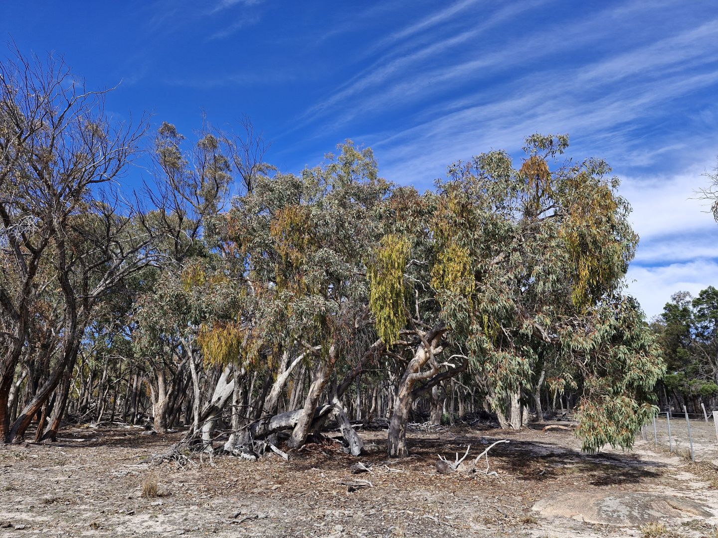 Image 13