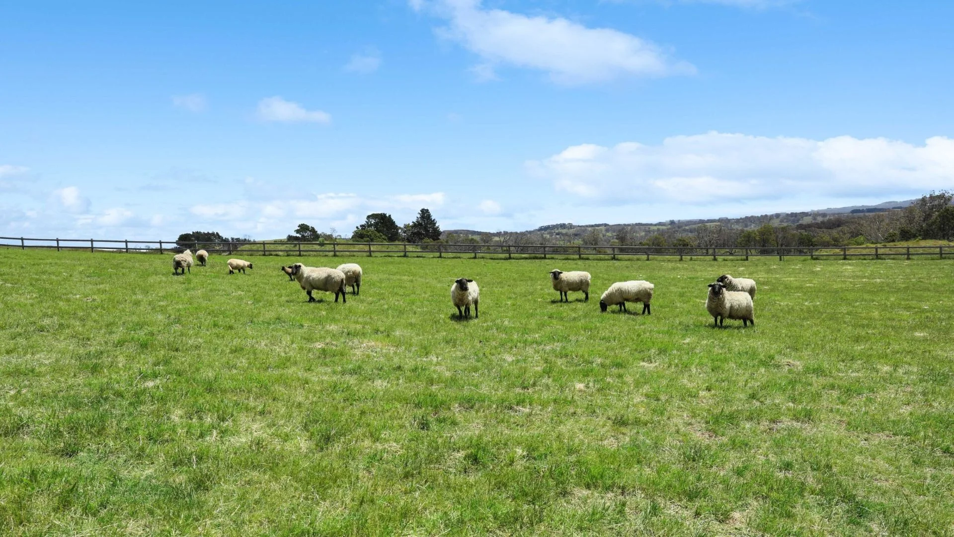 Additional image 34 of 373 Centennial Road, Bowral NSW 2576