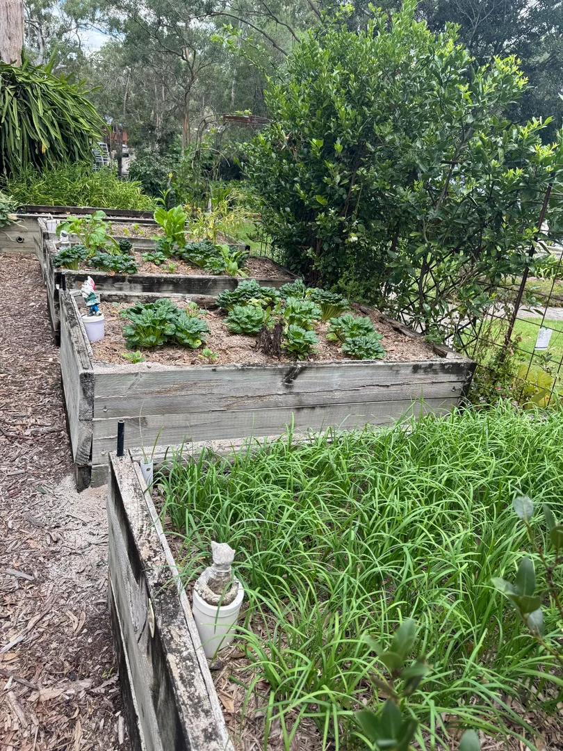 Additional image 18 of 262 Kangaroo Gully Rd, Bellbowrie QLD 4070