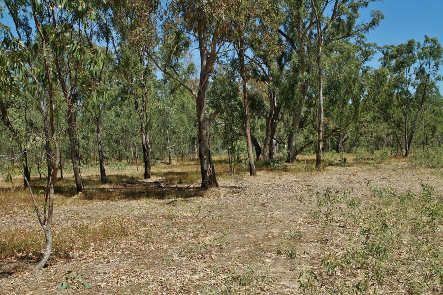 Vacant land in Lot 33 Bennett Street, HEATHCOTE VIC, 3523