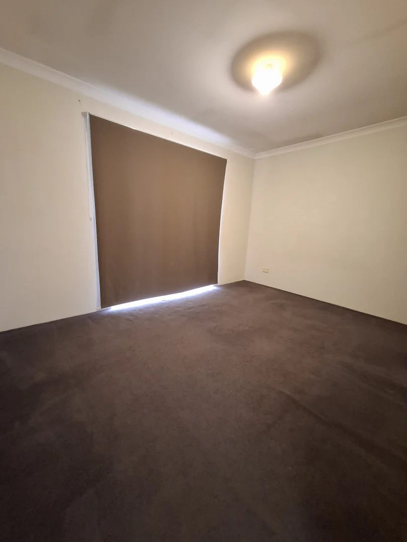 Additional image 7 of 10 Euro Brace, Australind WA 6233