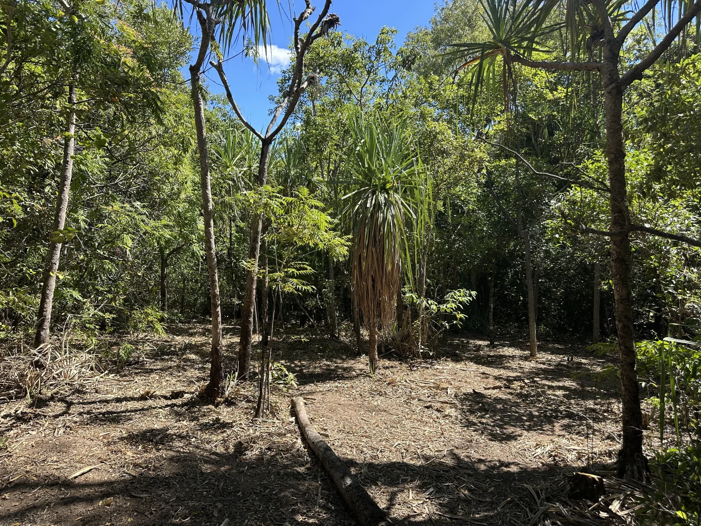 Image 10