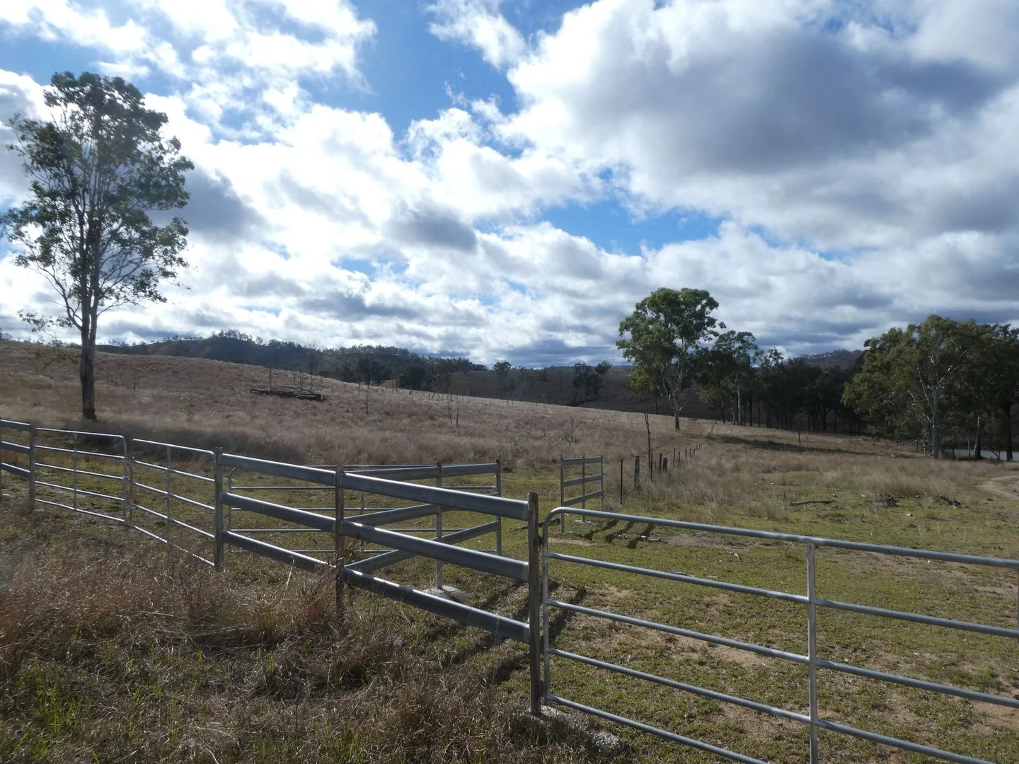 Image 12