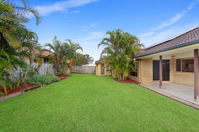 Picture of 63 Rawson Street, CALOUNDRA WEST QLD 4551