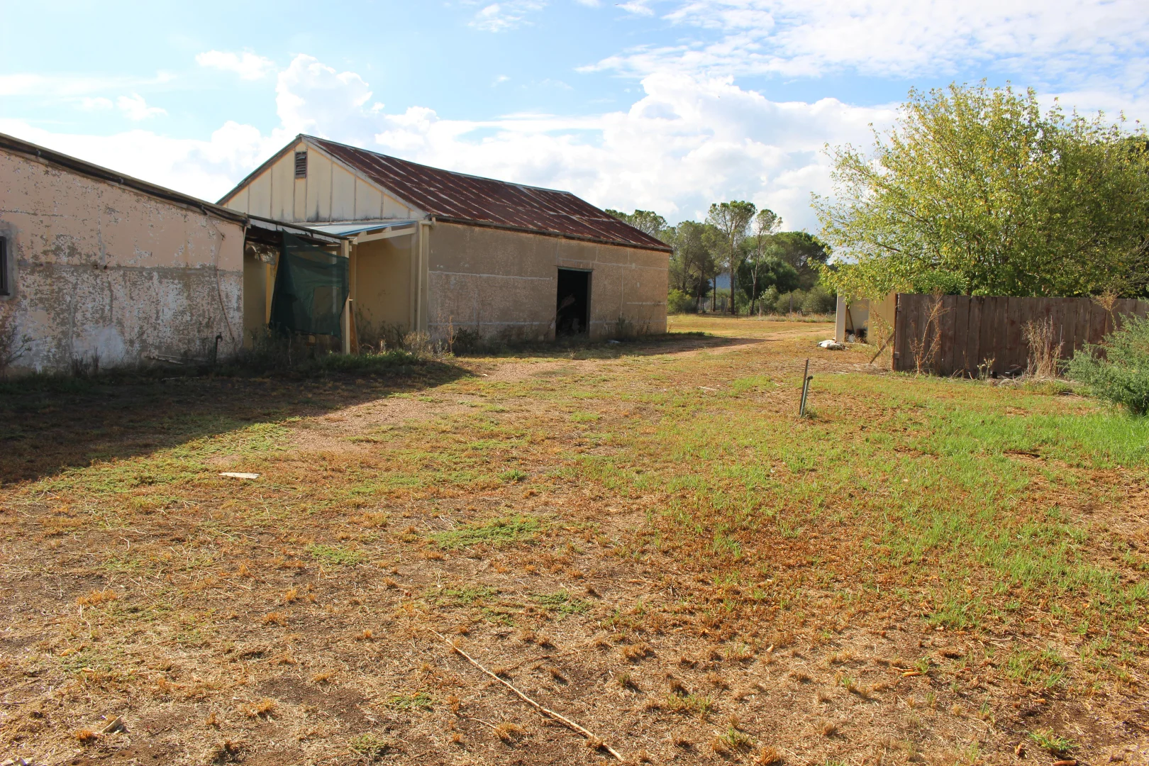 Additional image 21 of 59-61 Bandulla Street, Mendooran NSW 2842