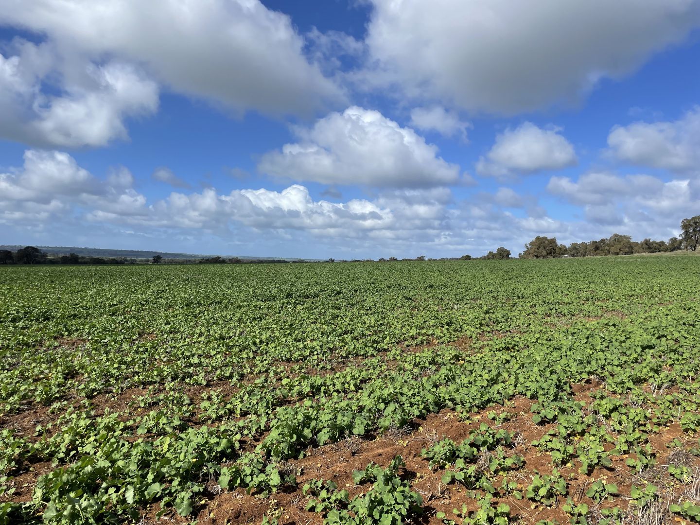 27 Badgingarra Road, Dandaragan WA 6507, Image 1