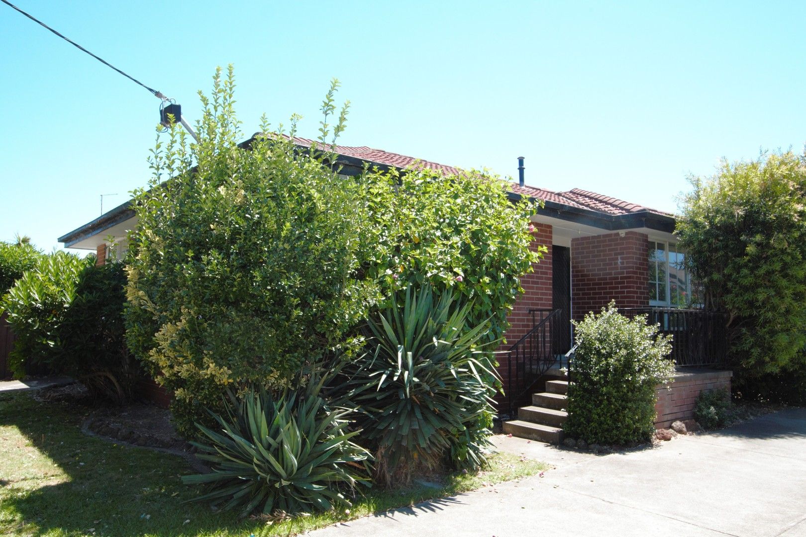 1/15 Holyrood Street, Hampton VIC 3188 Villa For Rent Domain