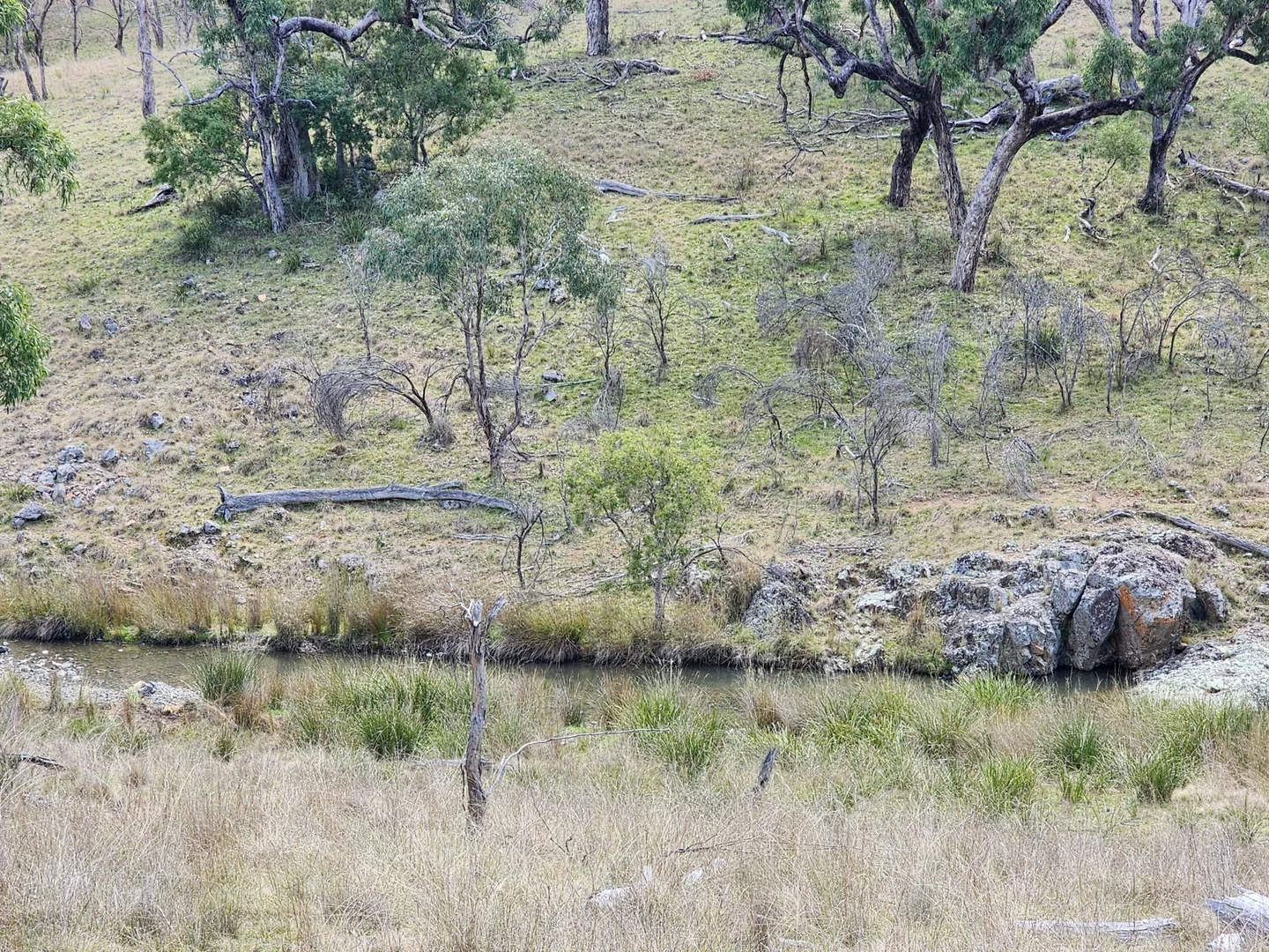 Image 8