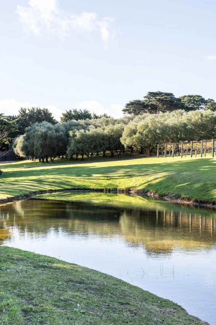 Additional image 10 of 176 Rogers Road, Boneo VIC 3939