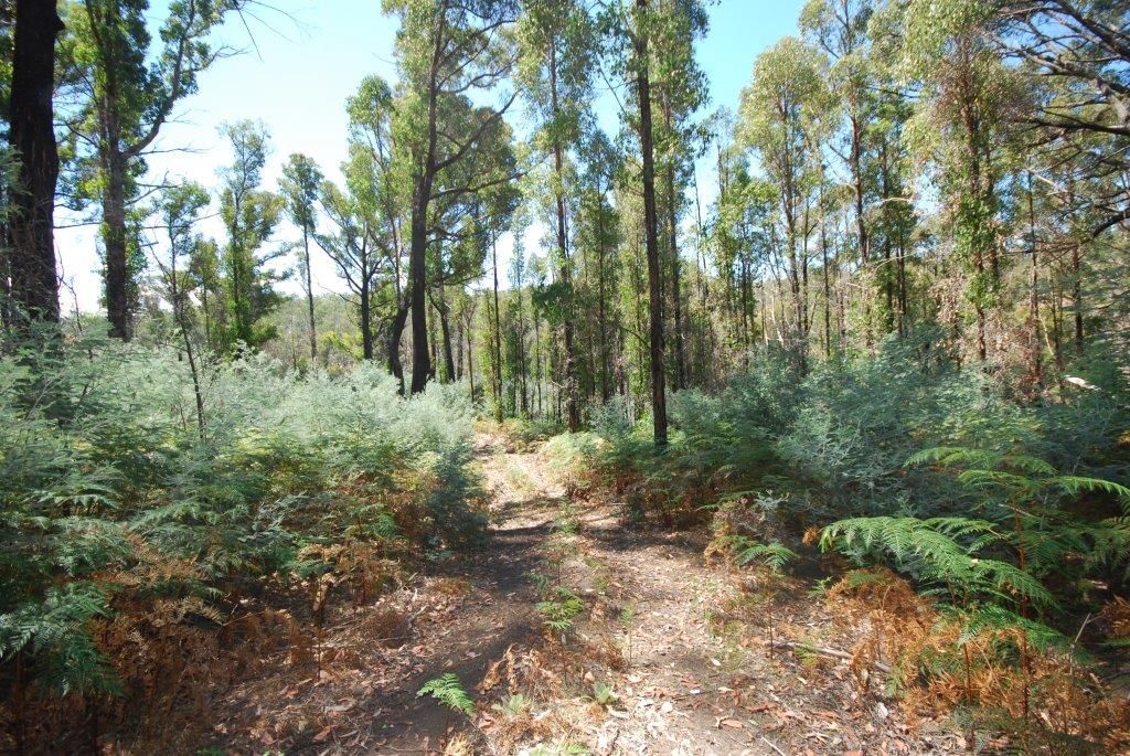 Lot (1) Pearces Road, Strickland TAS 7140, Image 0