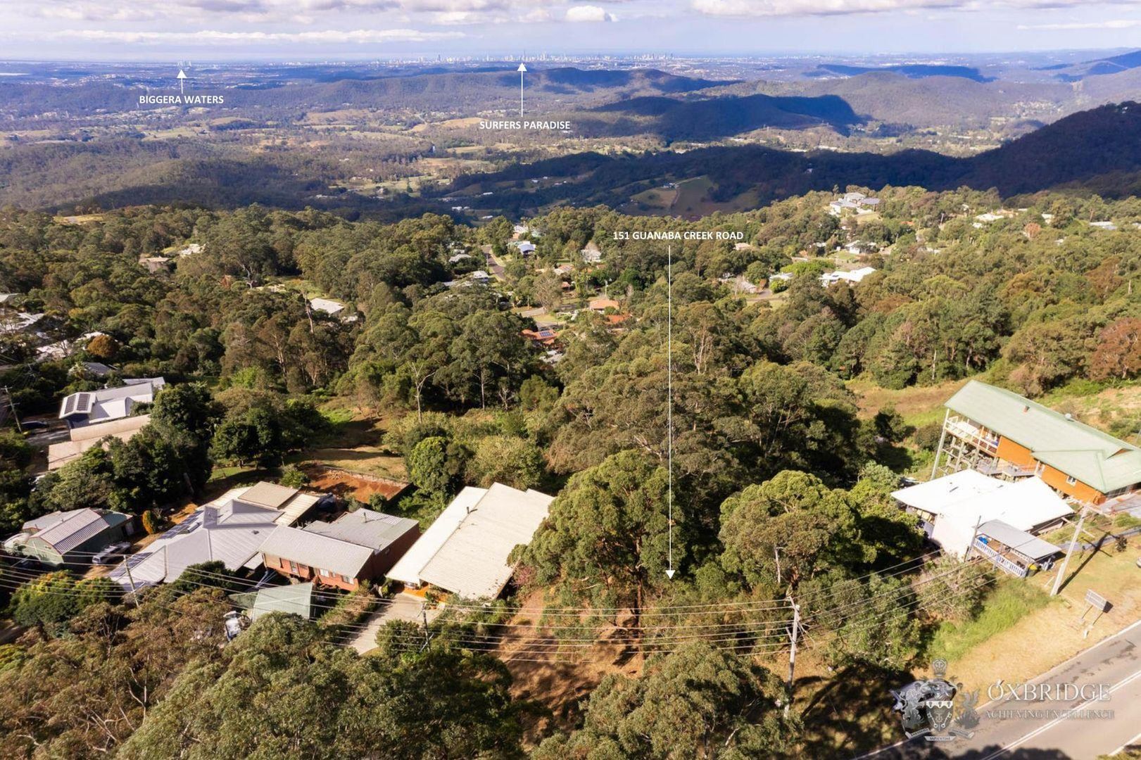 151 Guanaba Road, Tamborine Mountain QLD 4272 Domain