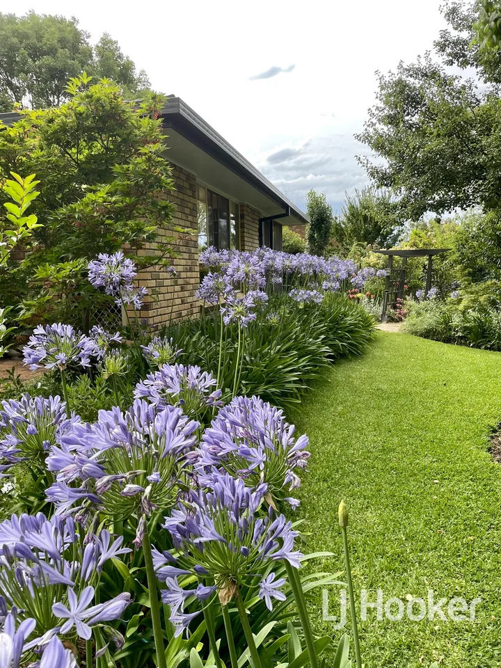 Additional image 18 of 24 Zircon Street, Inverell NSW 2360