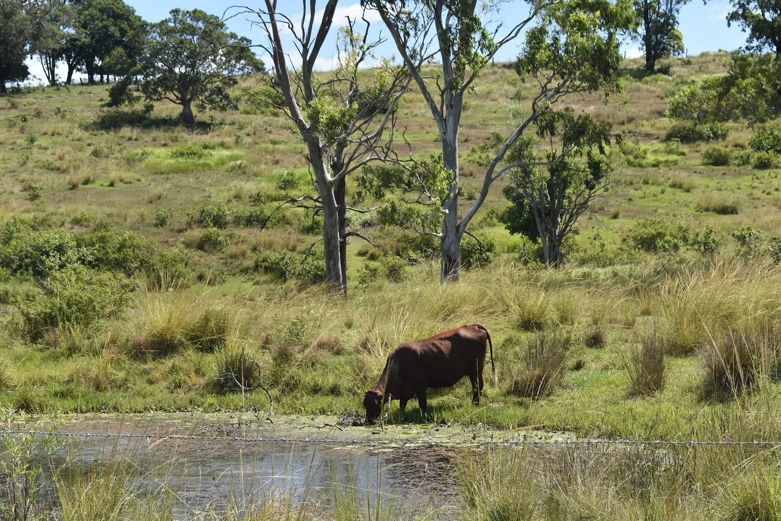 Additional image 6 of 35 Bakers Road, Bauple QLD 4650