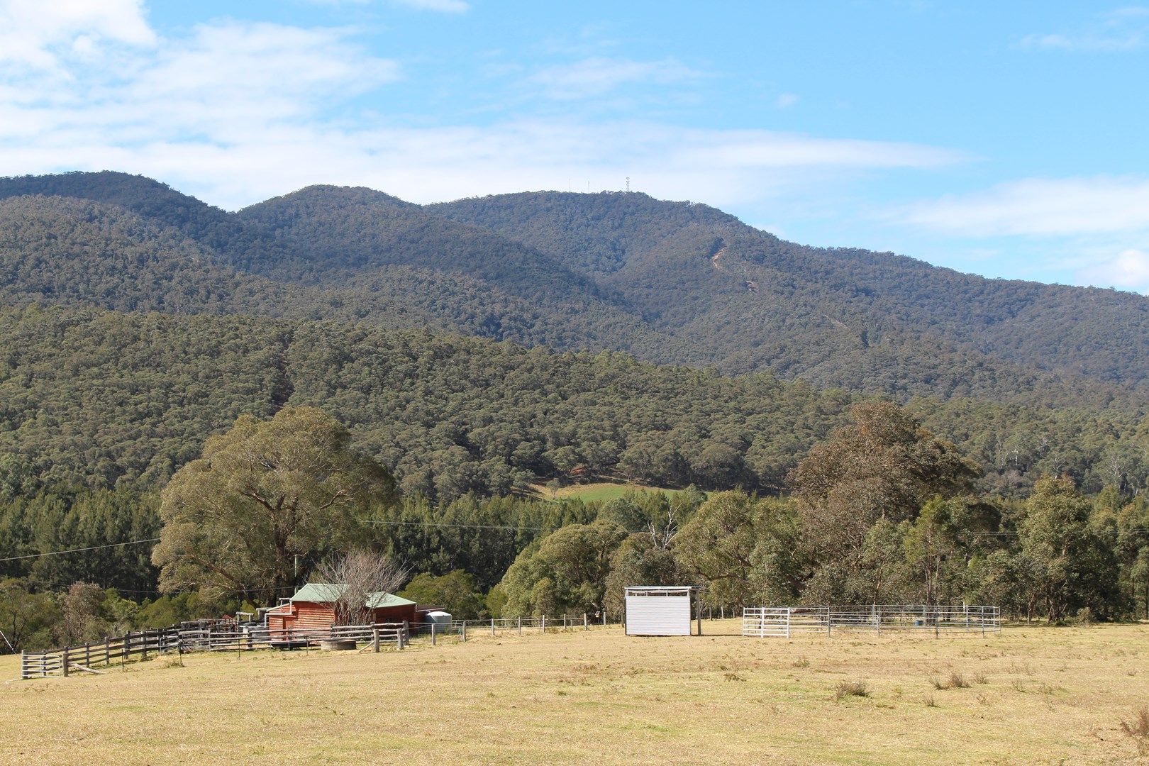 135 Bourkes Road, Yowrie NSW 2550, Image 0