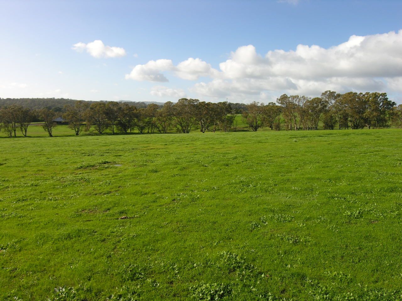 Lot 16 Middleton Place, Cockatoo Valley SA 5351, Image 1