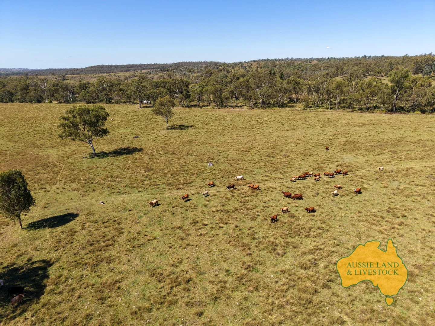 55, . TIM SHEA CREEK ROAD, Wengenville QLD 4615