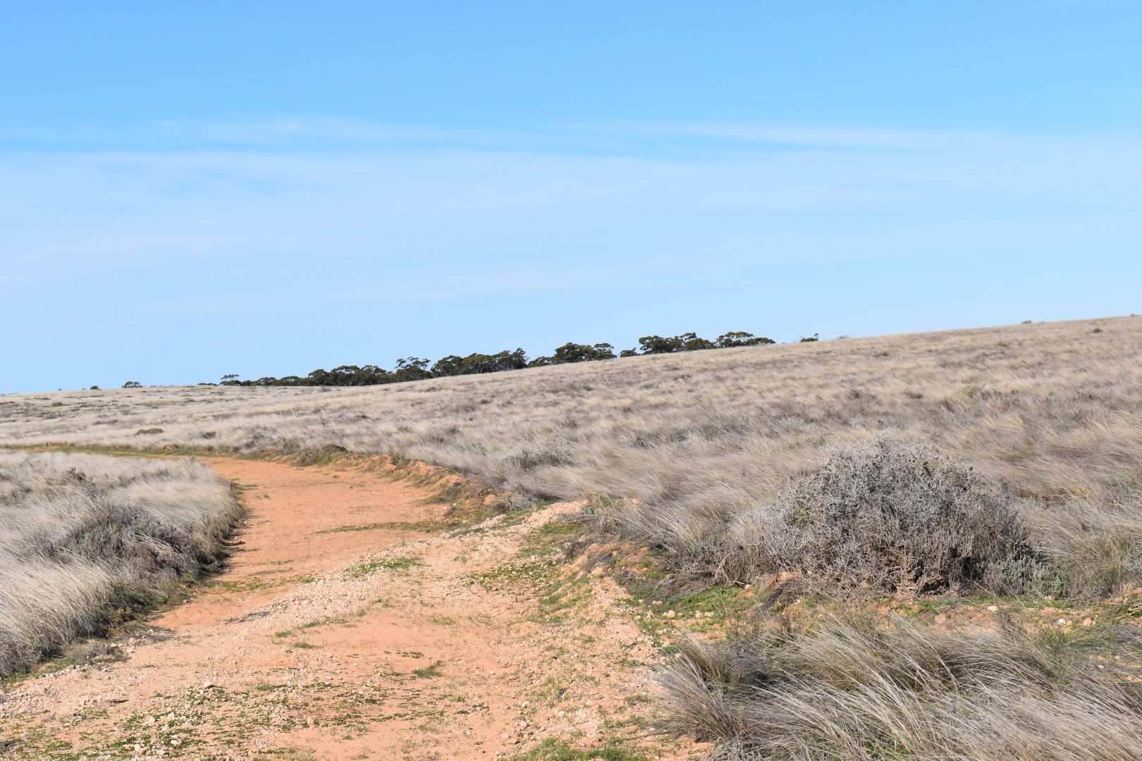 Sec 35 Brownlow Road, Brownlow SA 5374, Image 1