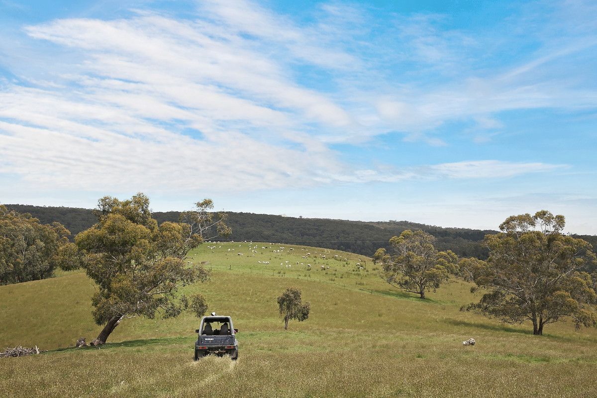 1699 Carlisle River Road, Carlisle River VIC 3239, Image 2