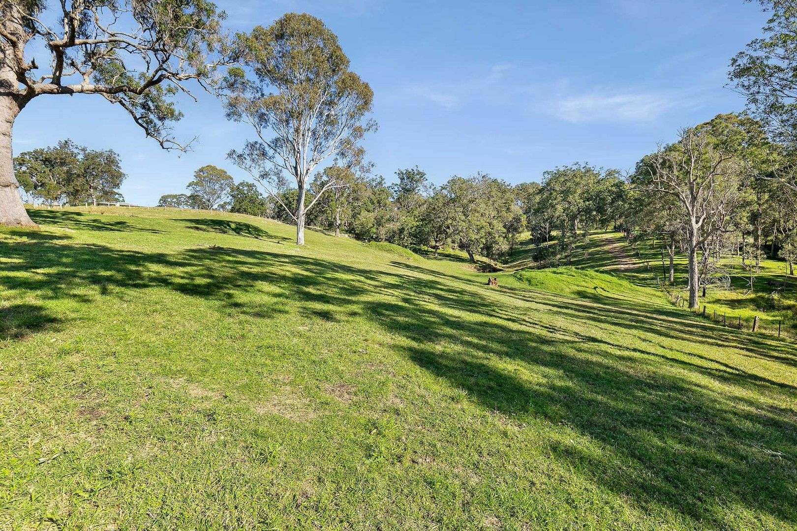 182 Dwyers Creek Road, Moruya NSW 2537, Image 0