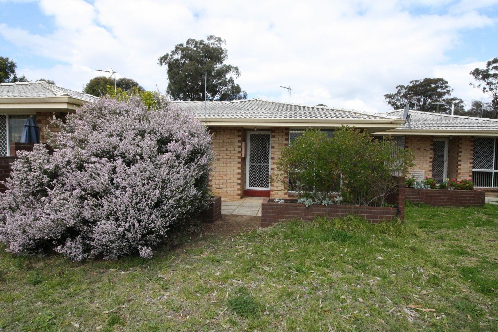 2 bedrooms Apartment / Unit / Flat in Unit 4/108 Doney Street NARROGIN WA, 6312