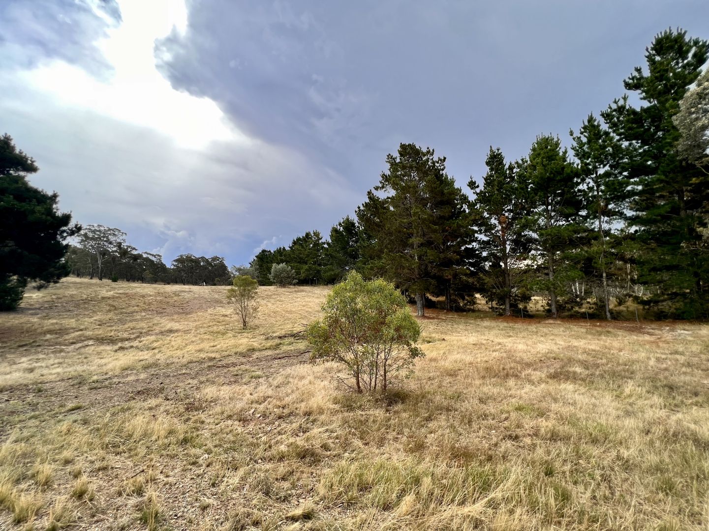 Lot 1/168 Newington Road, Bywong NSW 2621, Image 1