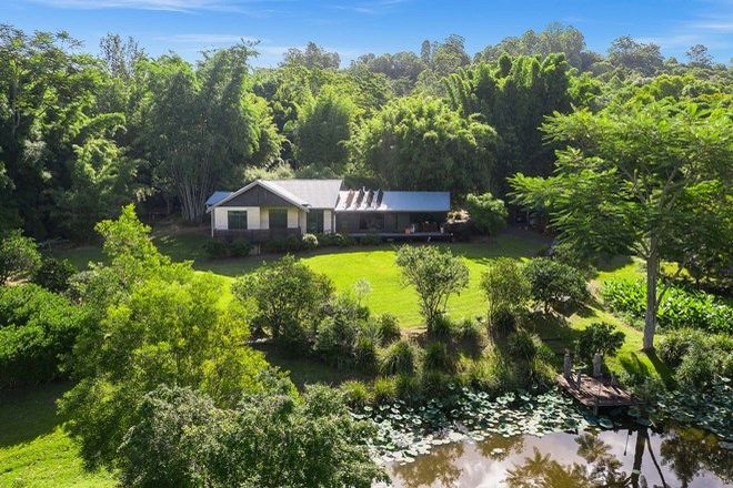 Picture of 453 Tuntable Creek Road, TUNTABLE CREEK NSW 2480