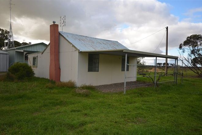 Picture of 55 Schumacher Street, PARILLA SA 5303