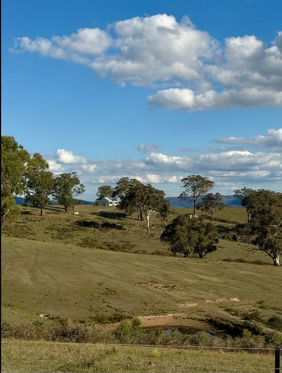 1175 Razorback Road, Mudgee NSW 2850