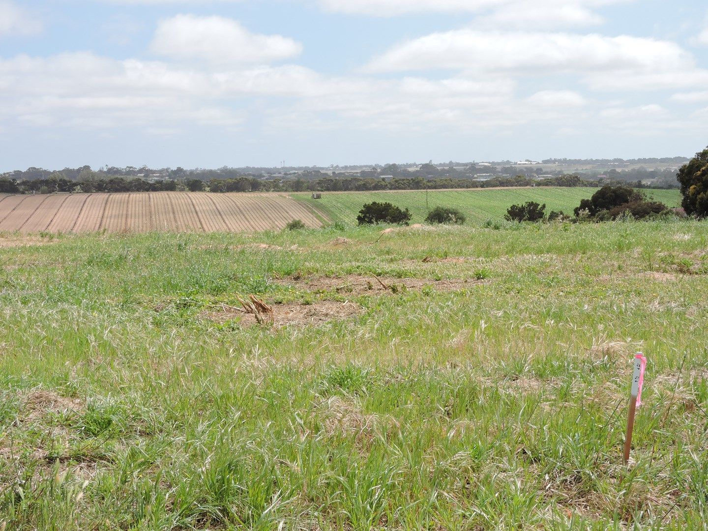 Lot 3 "Swanport Heights" via Jendarra Court, Murray Bridge SA 5253, Image 1