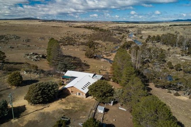3380 Properties Sold Auction Results In Dalgety Nsw 2628 Domain