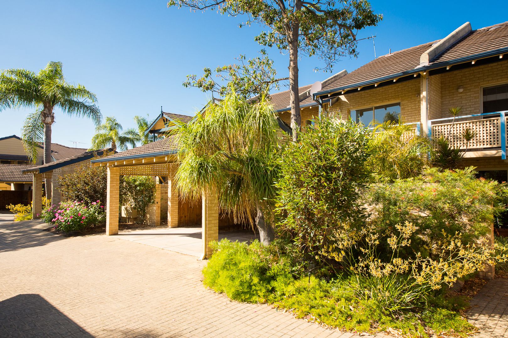 16/4 Johnson Road, Mayland Property History & Address Research Domain