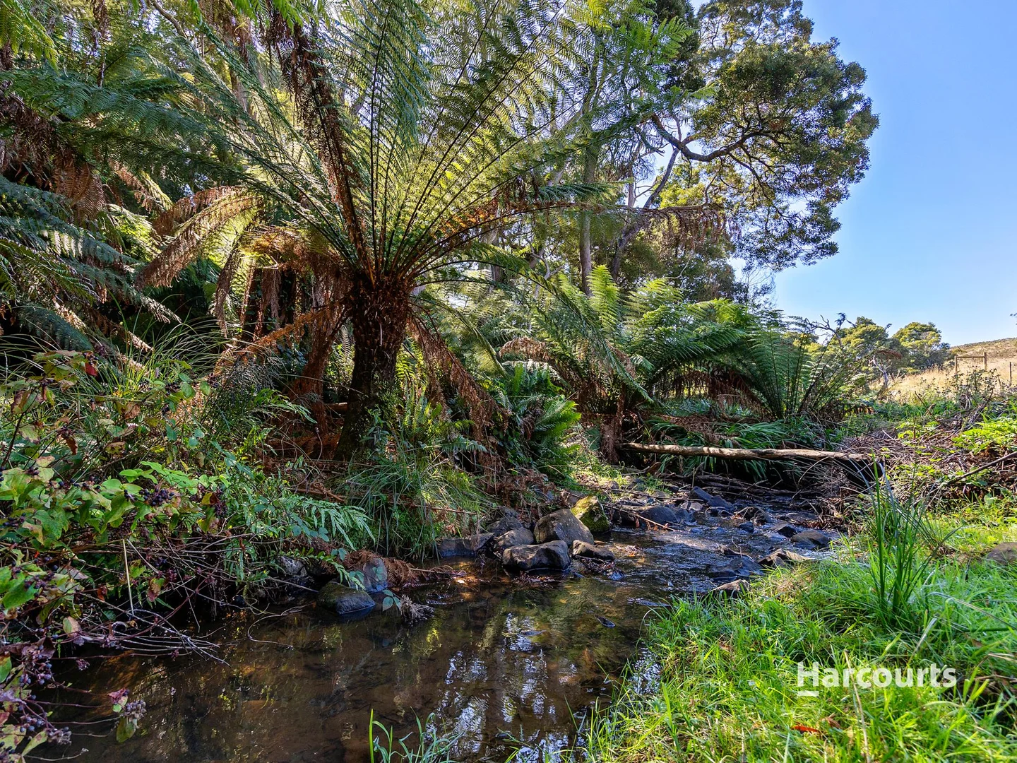 Additional image 4 of 00 Dudfields Road, Mount Hicks TAS 7325