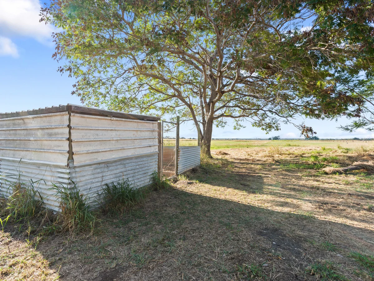 Image 15