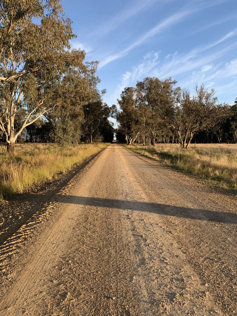 Forbes NSW 2871 House for Sale Domain