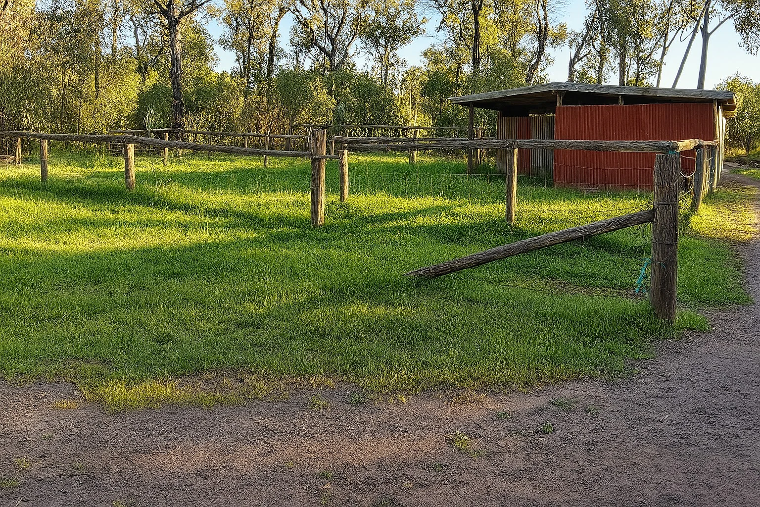 Image 5