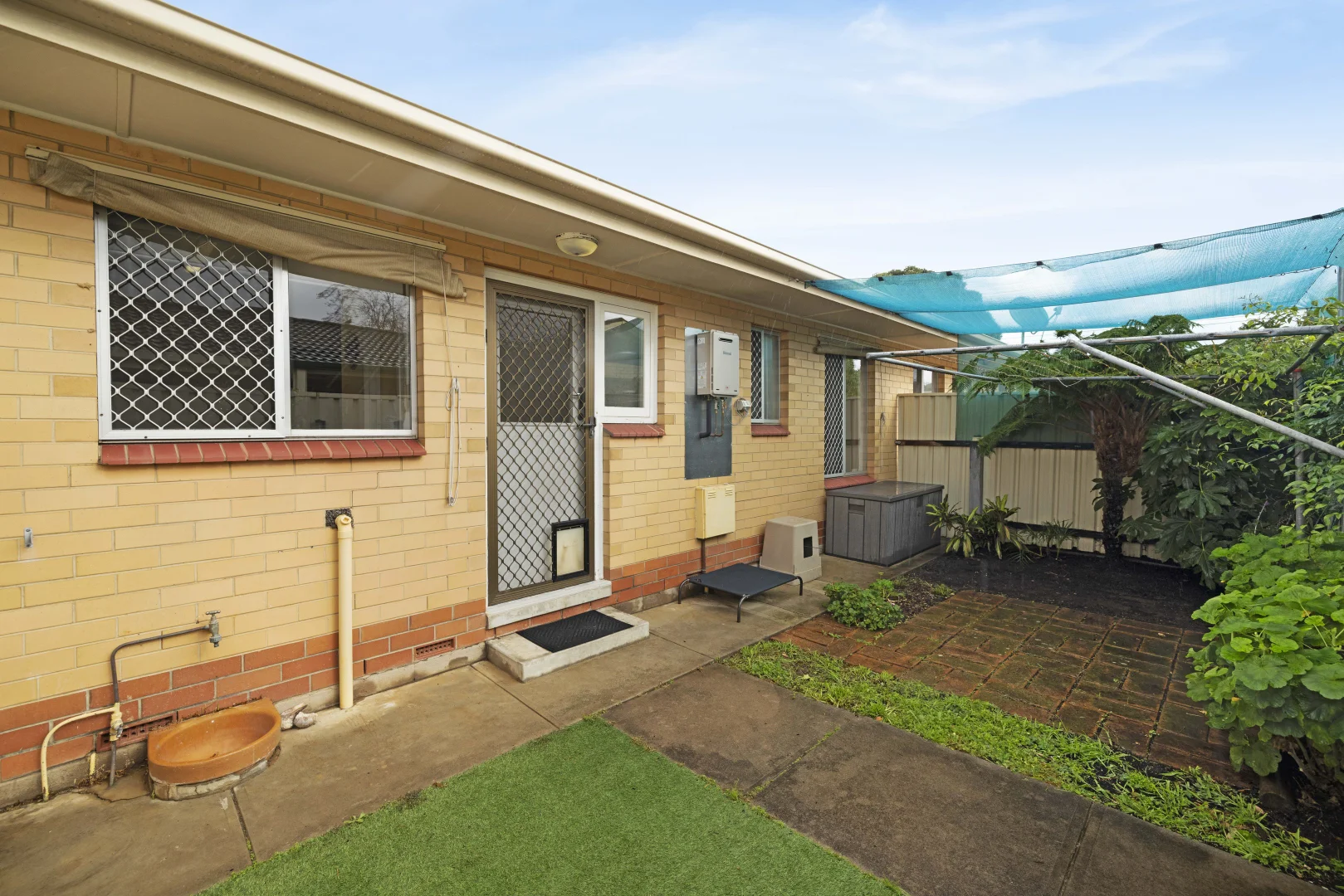 Image 15
