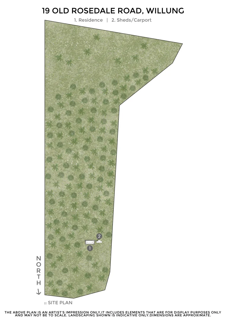 Image 22