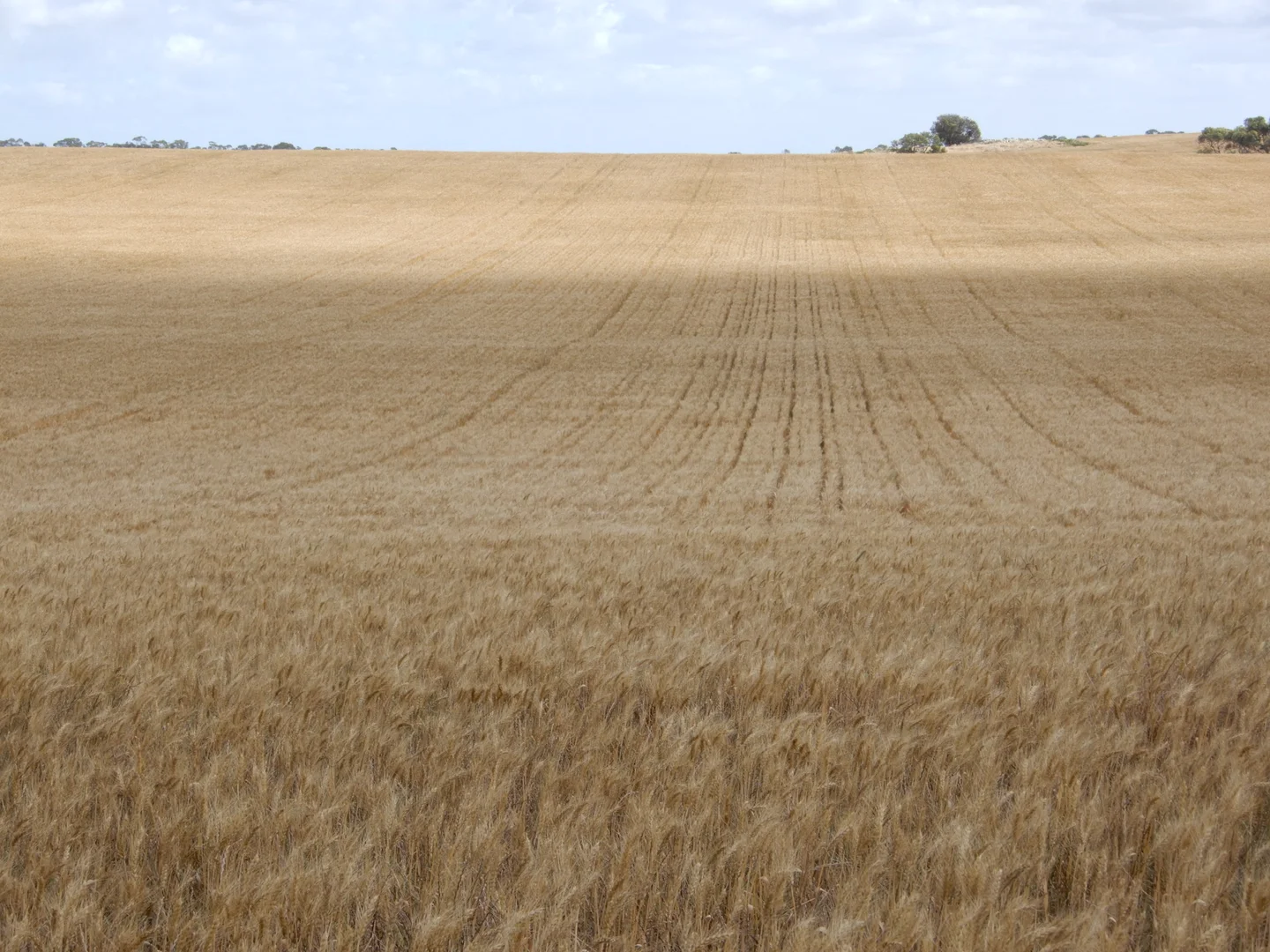 Image 19