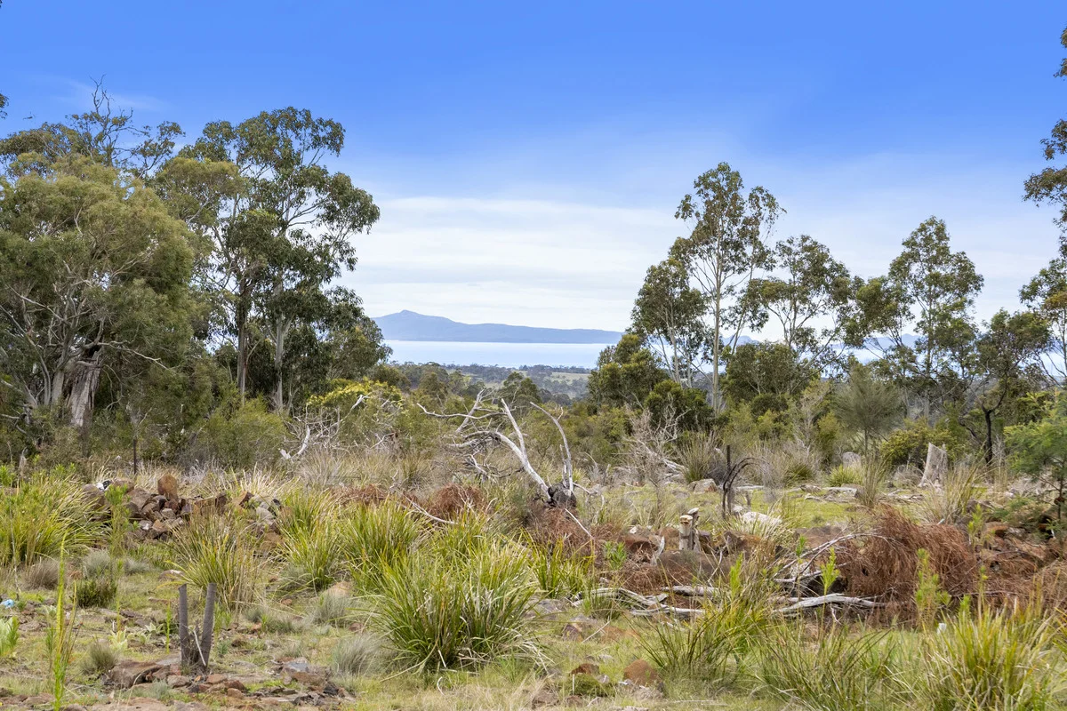 Additional image 5 of 4/194 Bresnehans Road, Little Swanport TAS 7190