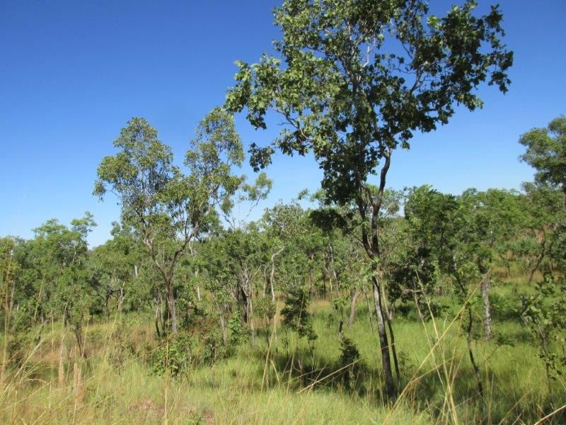 Adelaide River NT 0846, Image 1