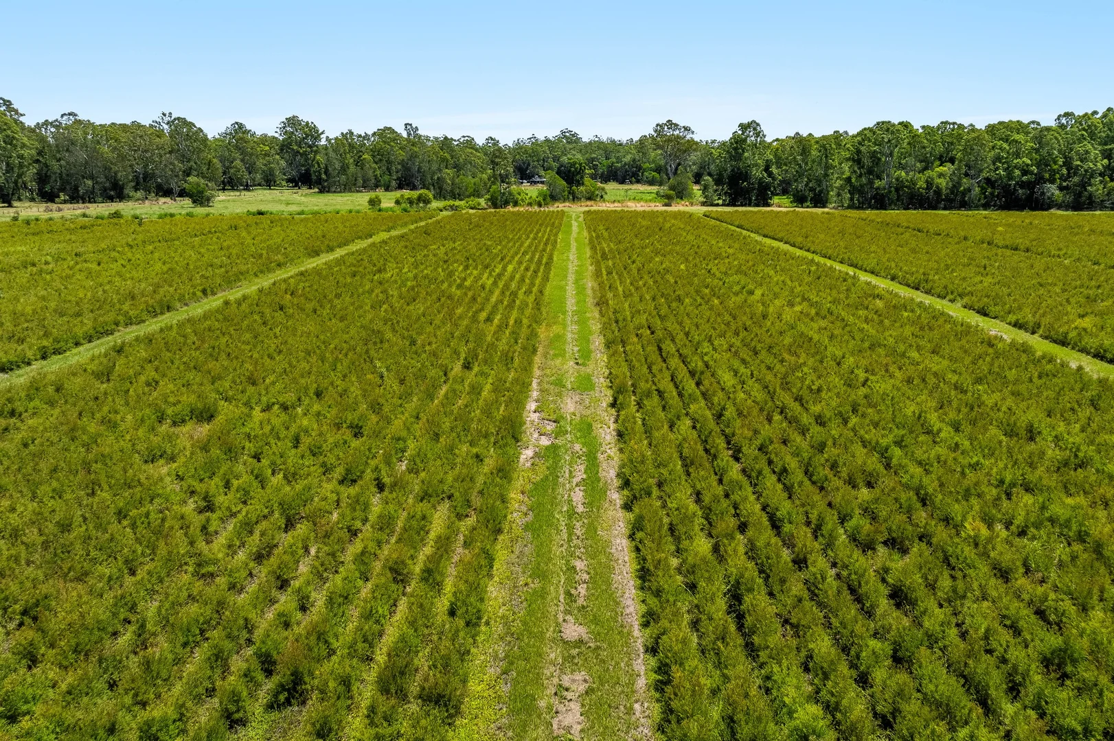 Additional image 15 of 1190 Bungawalbin Whiporie Road, Bungawalbin NSW 2469