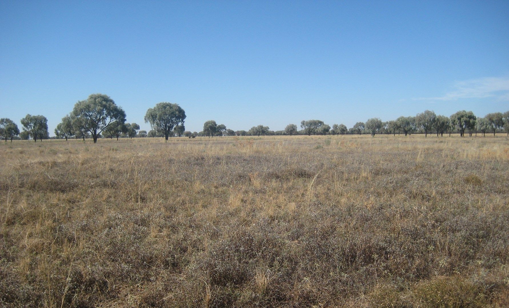 "Wilga" McKinley Road, Hillston NSW 2675, Image 0