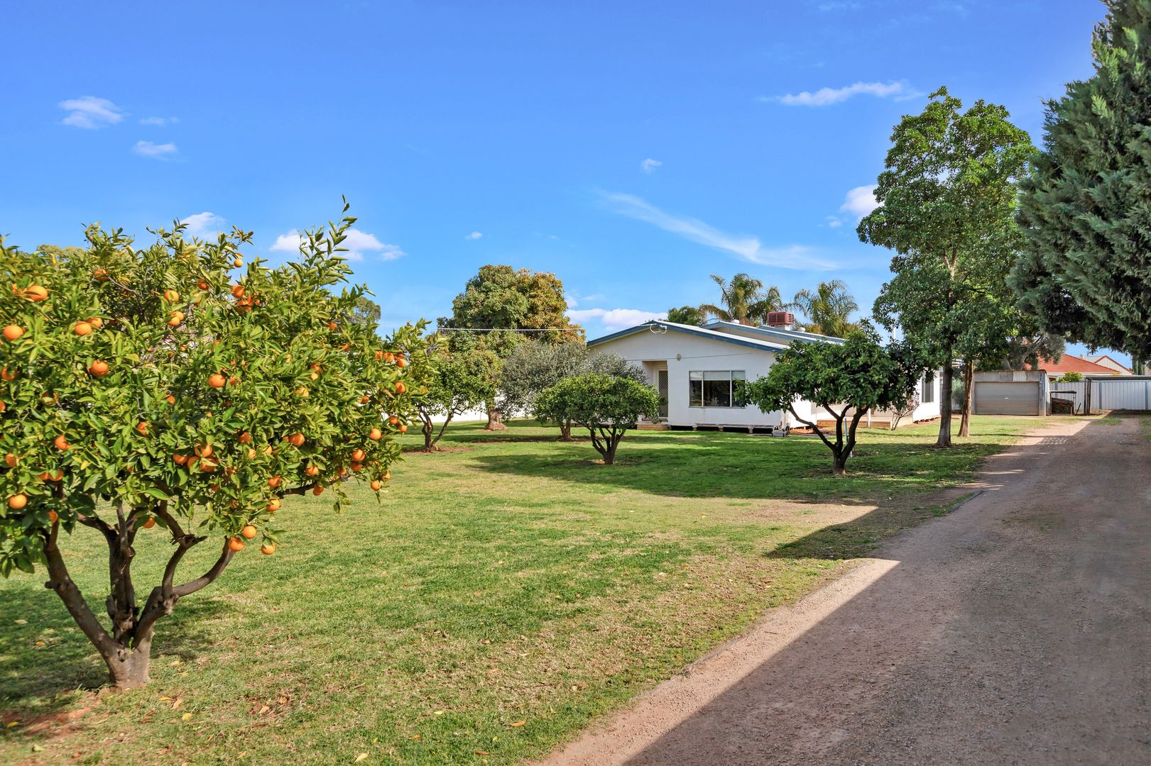 597 San Mateo Avenue, Mildura VIC 3500, Image 1