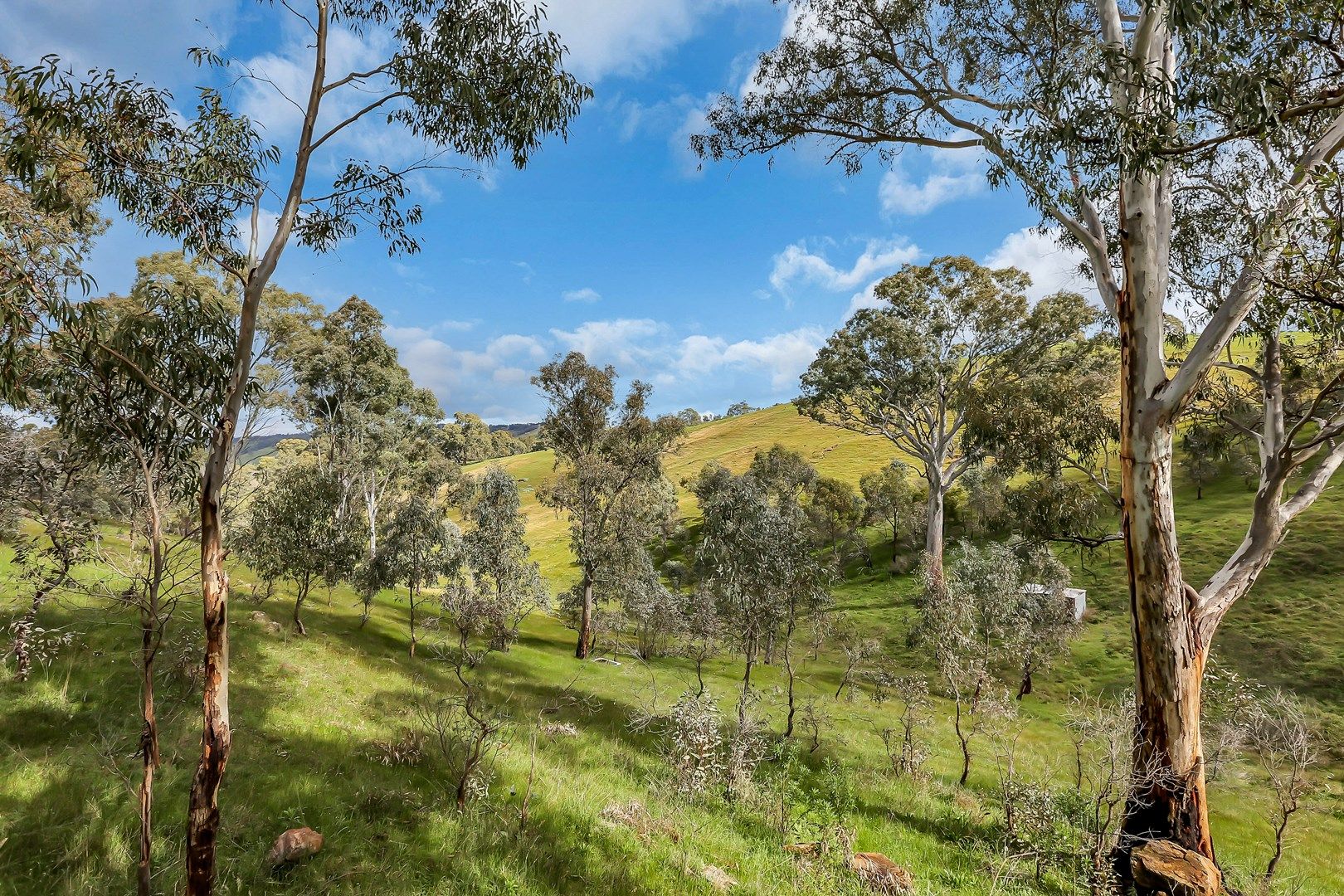 Lot 1 Hannaford Hump Road, Upper Hermitage SA 5131, Image 0