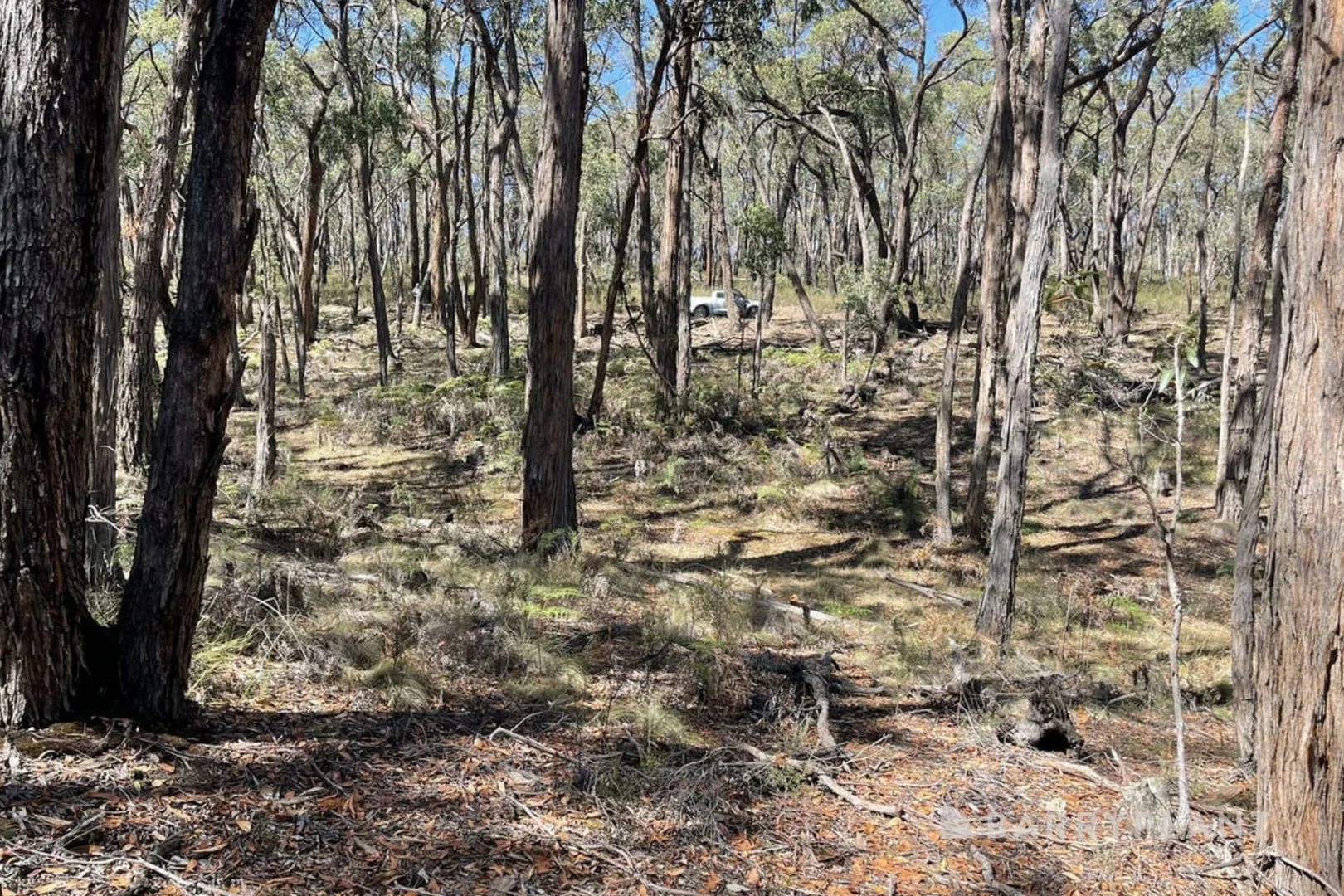 Image 11