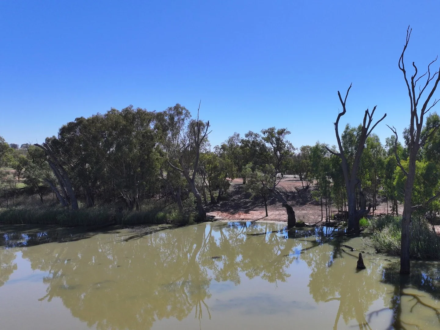 Additional image 6 of Lot 2 / 5669 Sturt Highway, Monak NSW 2738