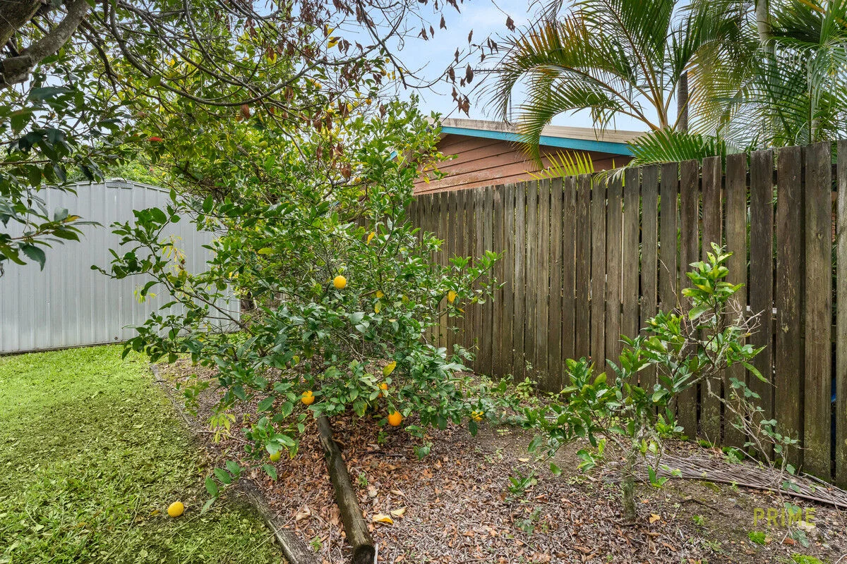Image 25
