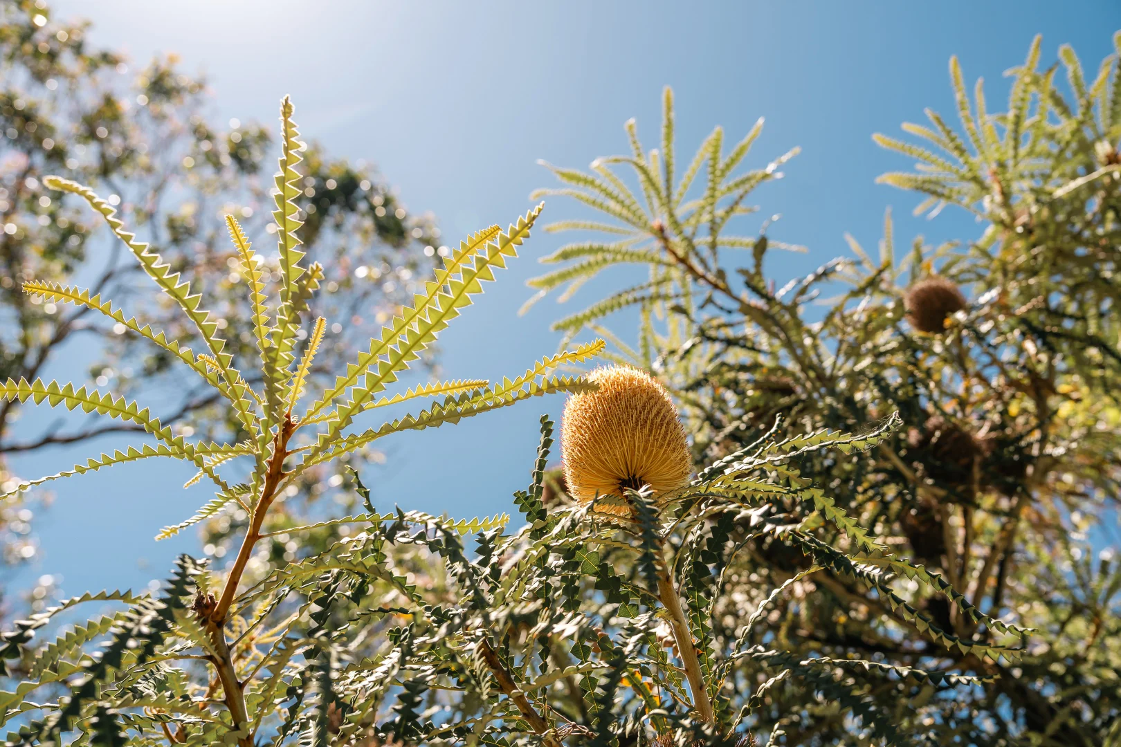 Additional image 16 of 54 Back Beach Road, Portsea VIC 3944