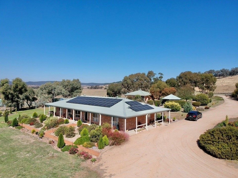 3374 MURRINGO ROAD, Young NSW 2594, Image 0