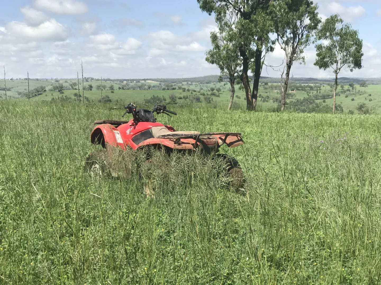 Image 28